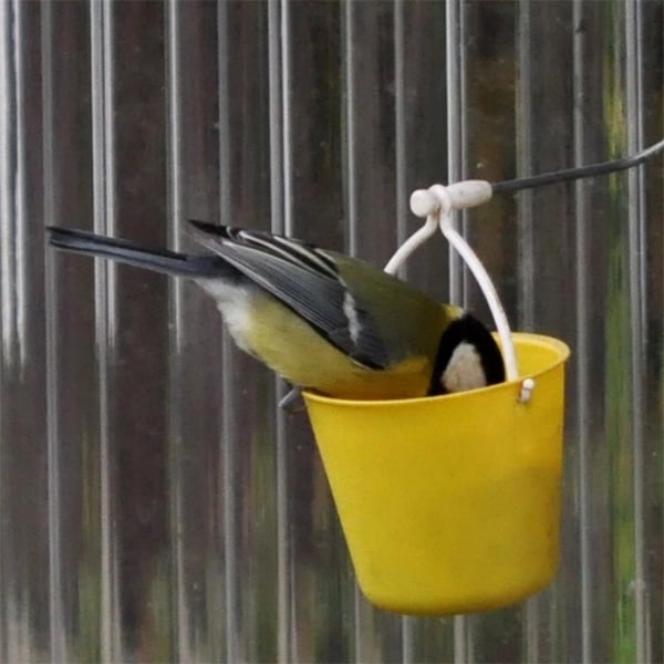 Wyhsports - Ferris Wheel Bird Feeder