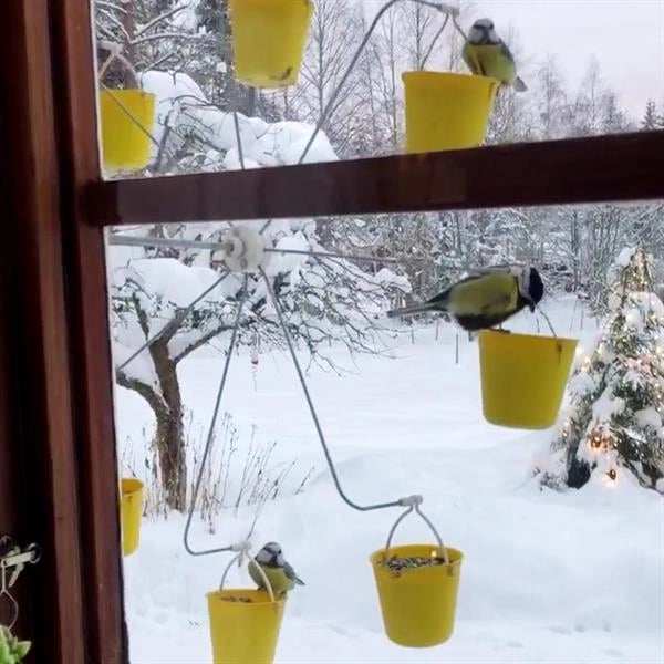 Wyhsports - Ferris Wheel Bird Feeder