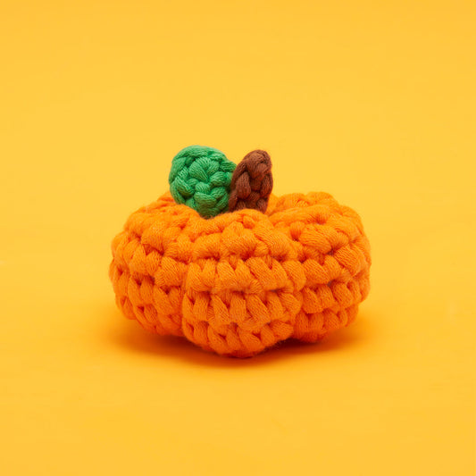 Tiny Pumpkin Kit