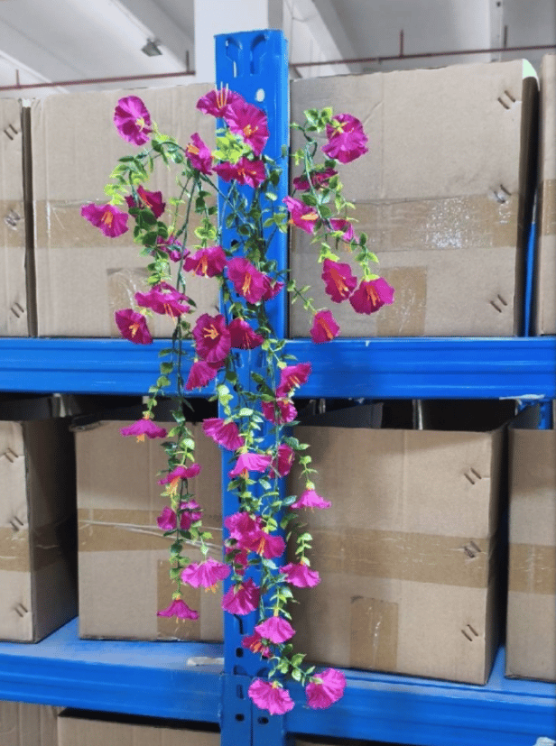 🌺Hanging Morning Glory