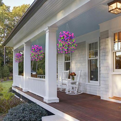 🌺Hanging Morning Glory
