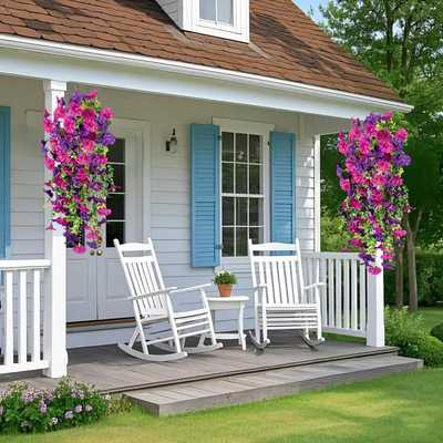 🌺Hanging Morning Glory