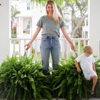 💥THIS WEEK'S SPECIAL PRICE $18.98🌱UV RESISTANT LIFELIKE ARTIFICIAL BOSTON FERN
