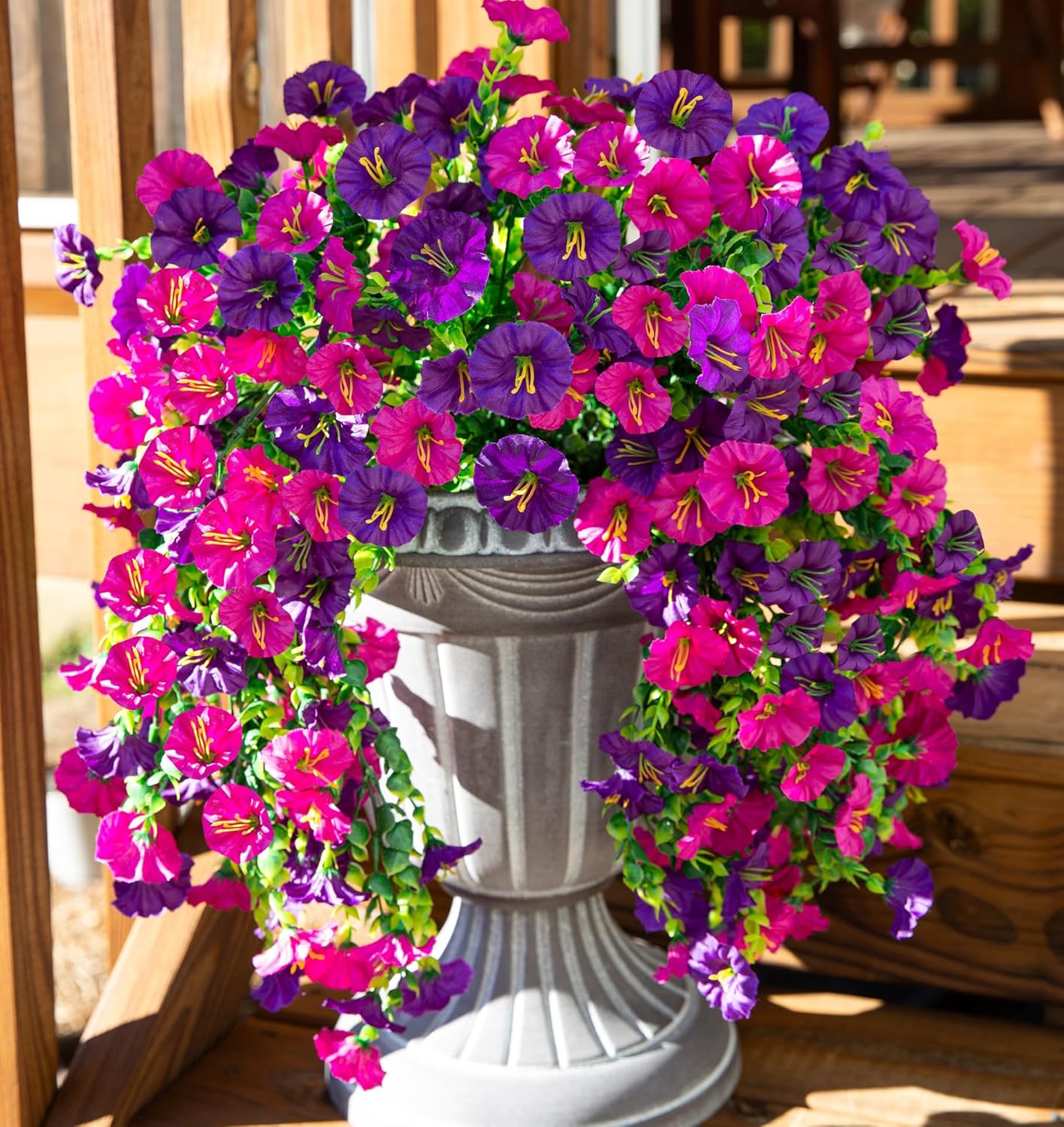 🌺Hanging Morning Glory