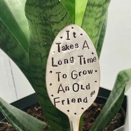 🔥Last day! 💥Special sale - Garden Marker Friendship Gift - naotstore