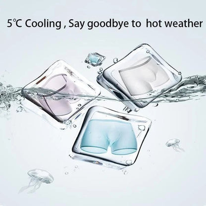 Men's Ice Silk Breathable Underwear🔥Last day promotion !